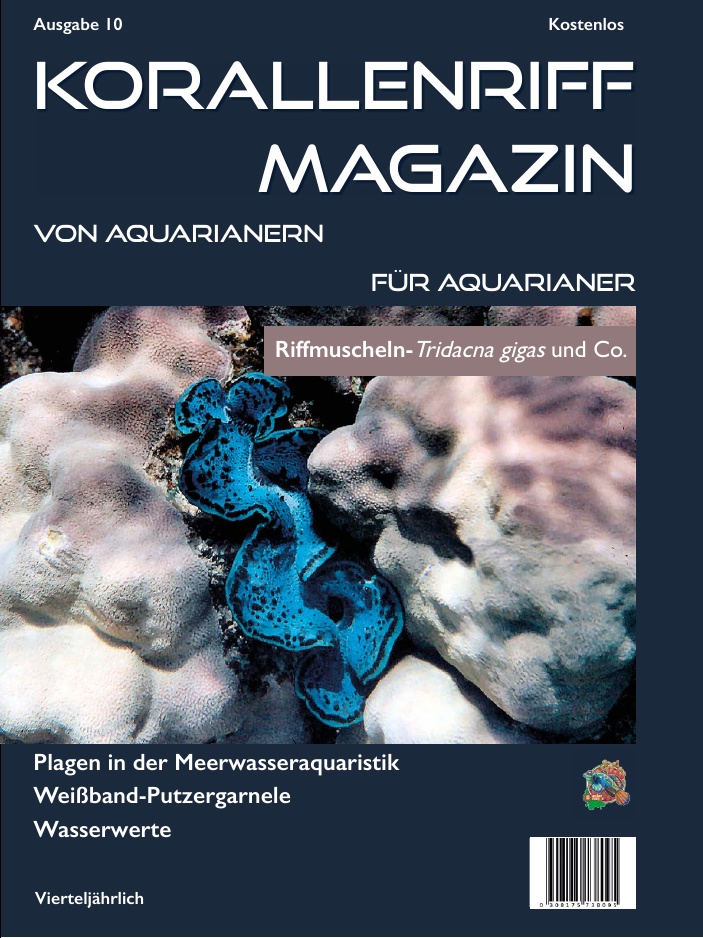 Ausgabe 10