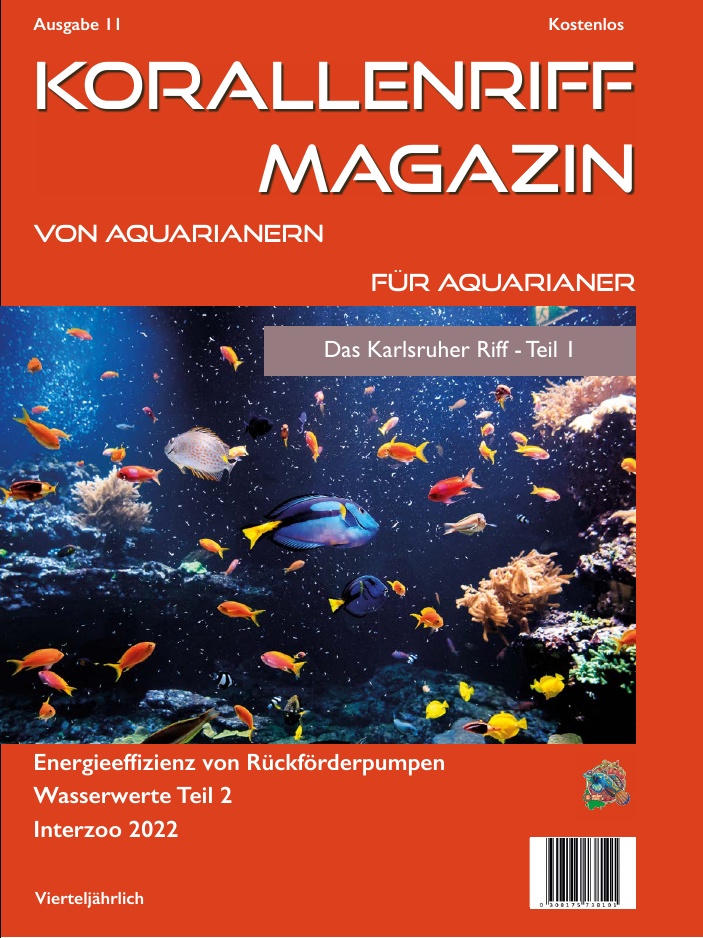 Ausgabe 11