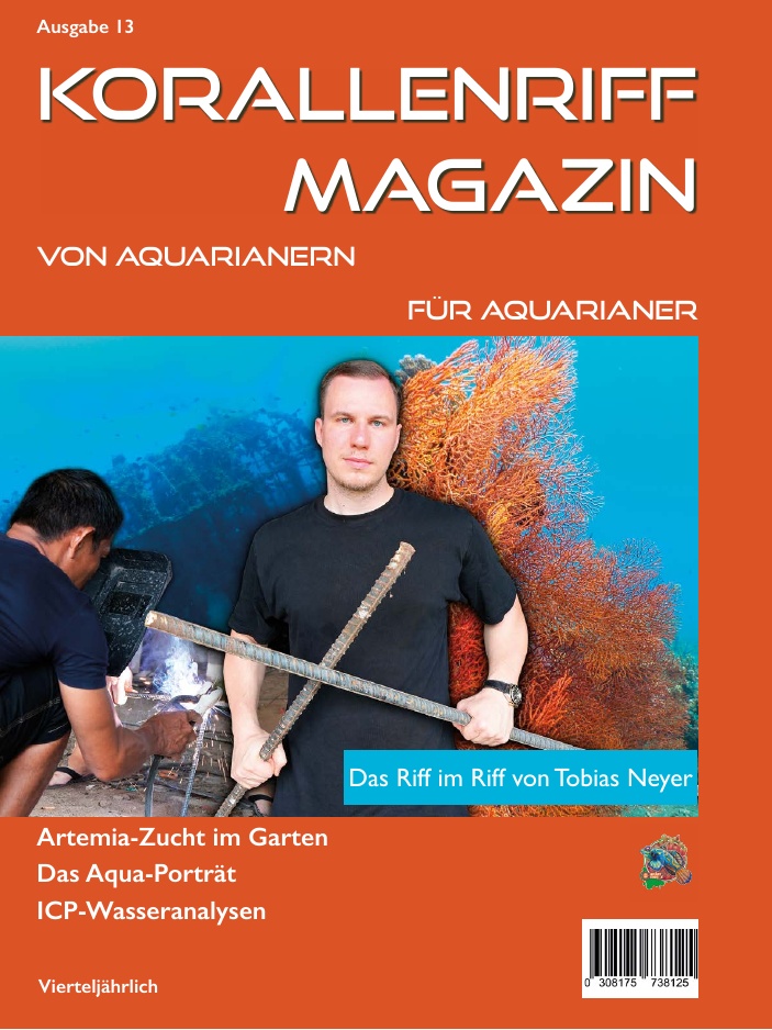 Ausgabe 13