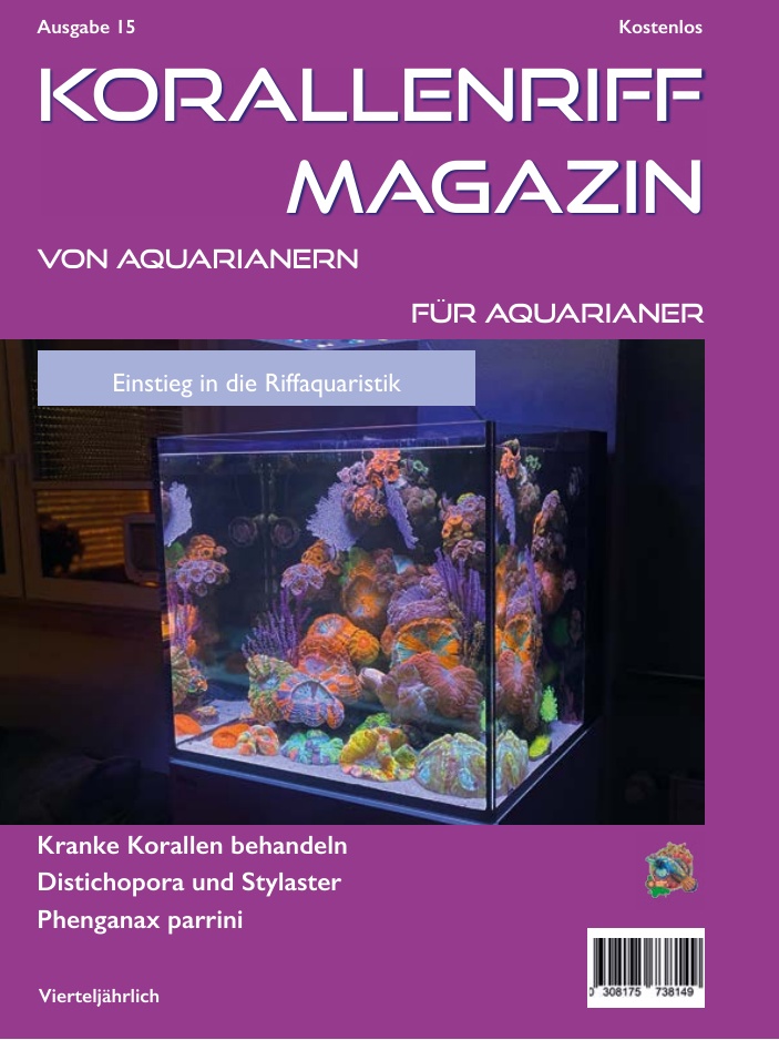 Ausgabe 15