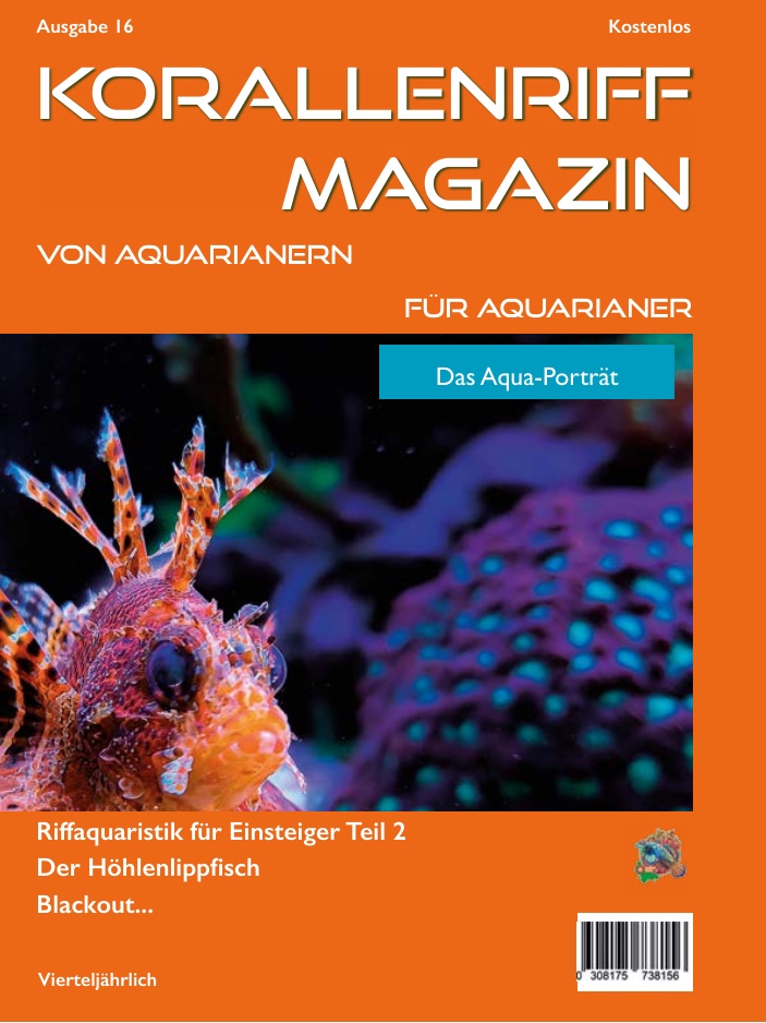 Ausgabe 16