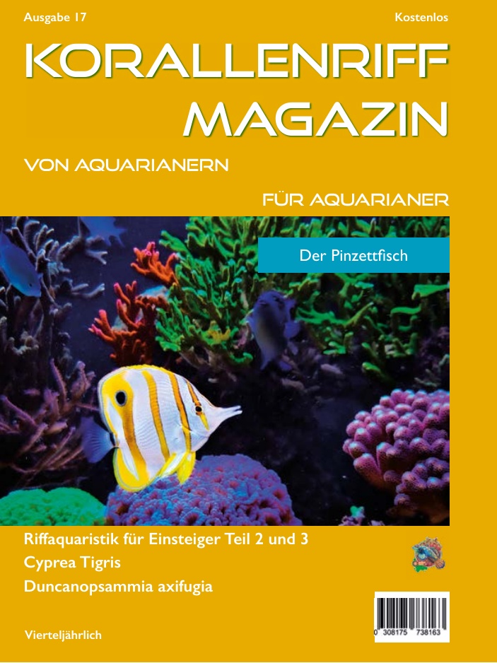 Ausgabe 17