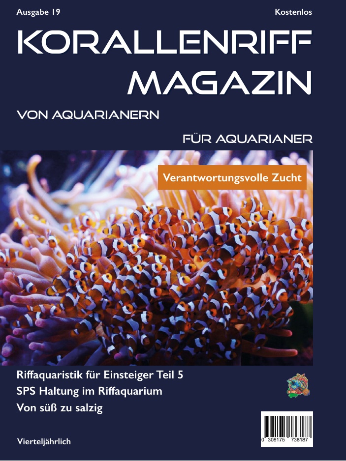 Ausgabe 17