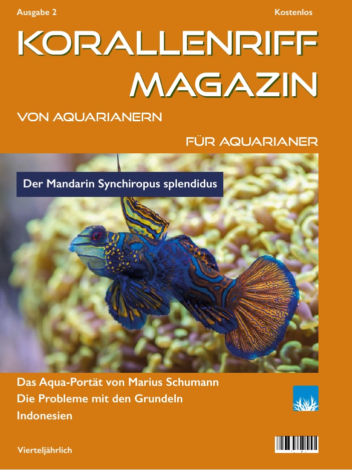 Ausgabe 2