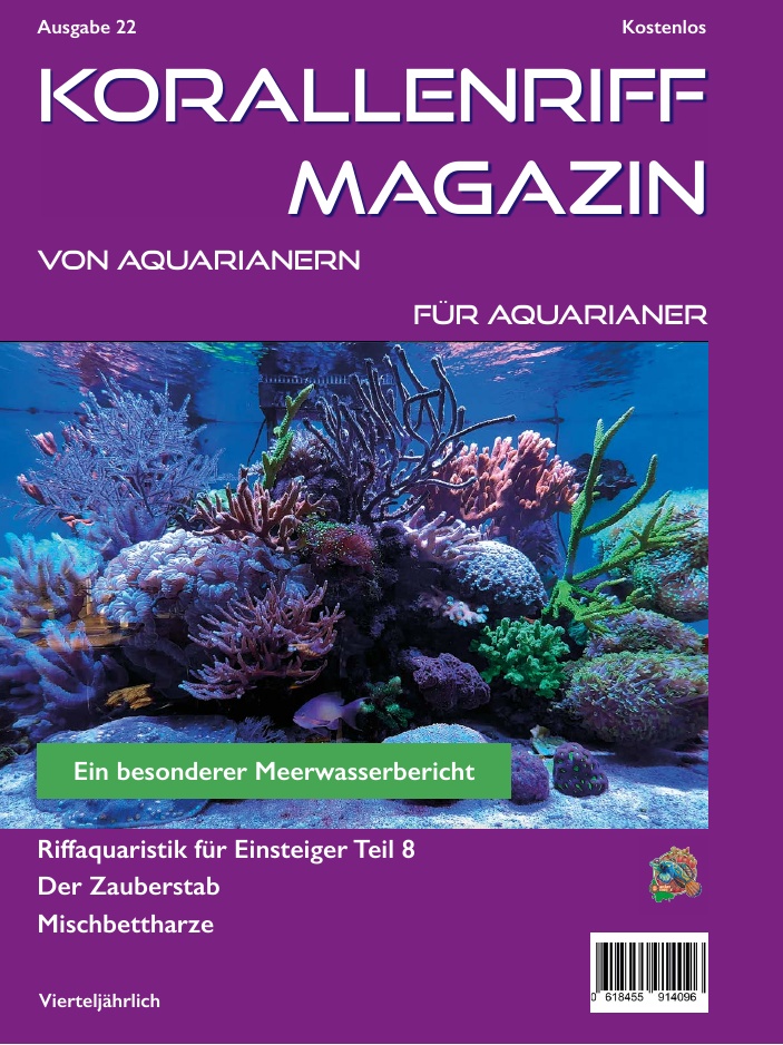 Ausgabe 17