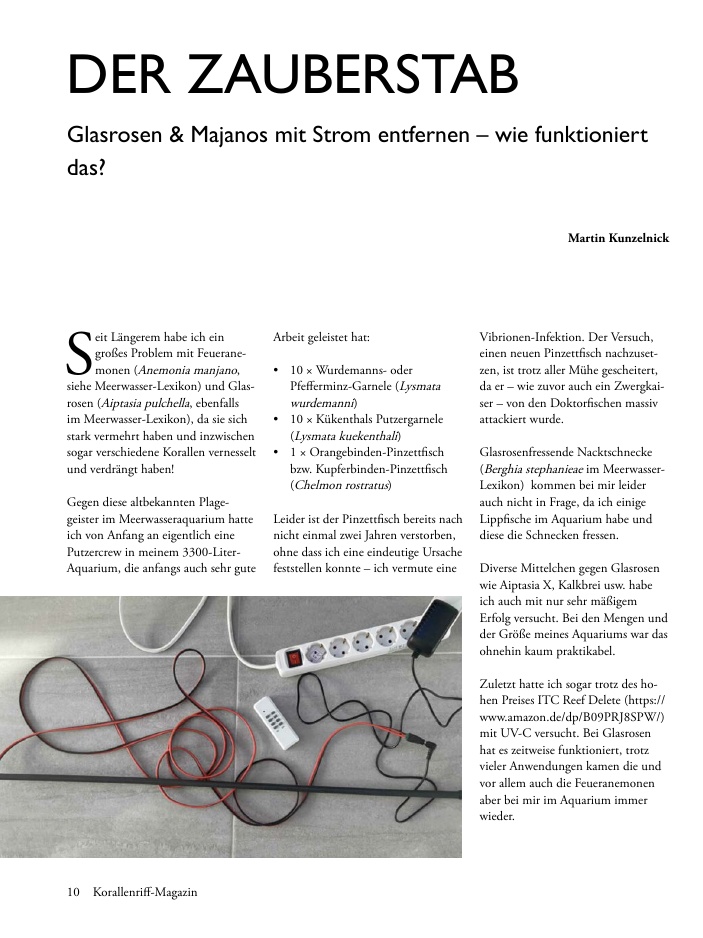 Vorschaubild Seite 10