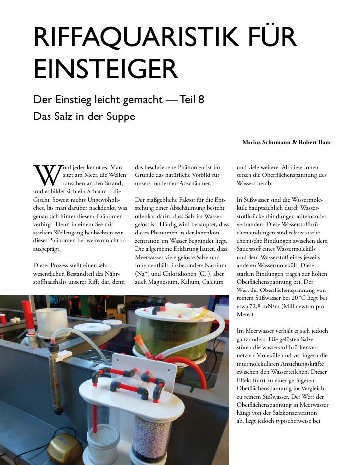 Vorschaubild Seite 16