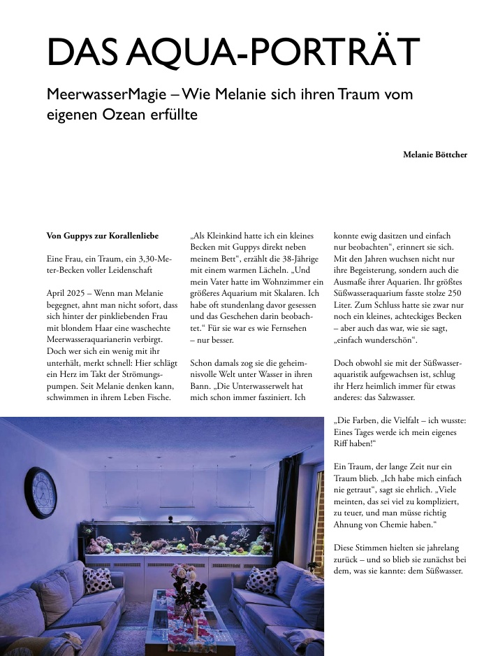 Vorschaubild Seite 34