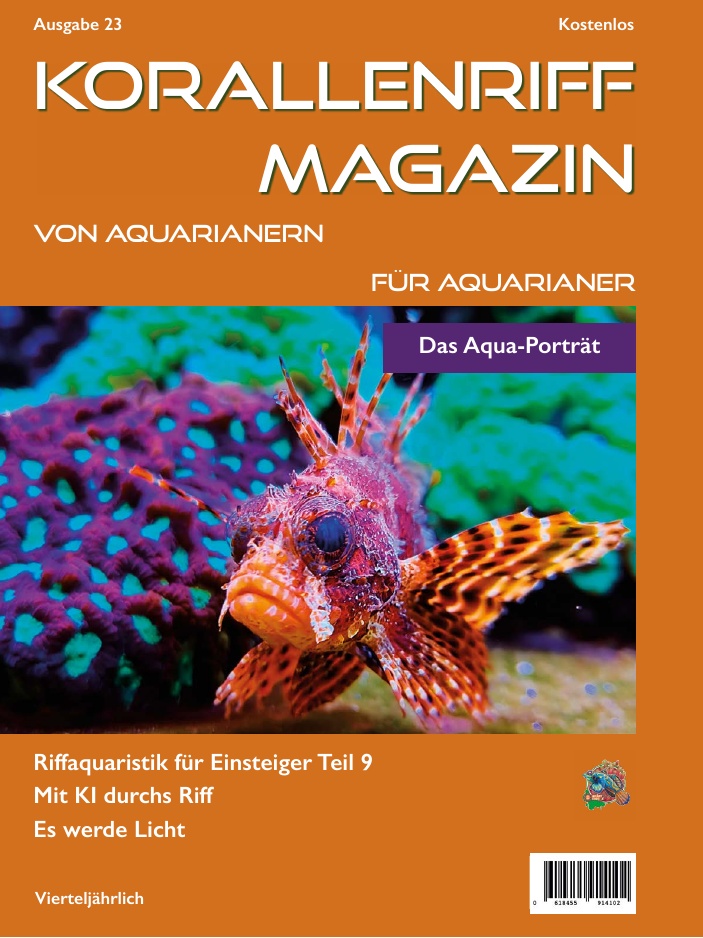 Ausgabe 17