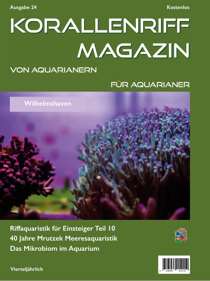 Ausgabe 17