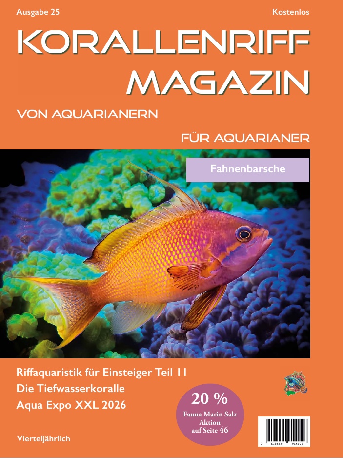 Ausgabe 17