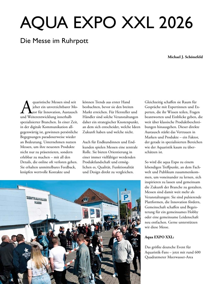 Vorschaubild Seite 38