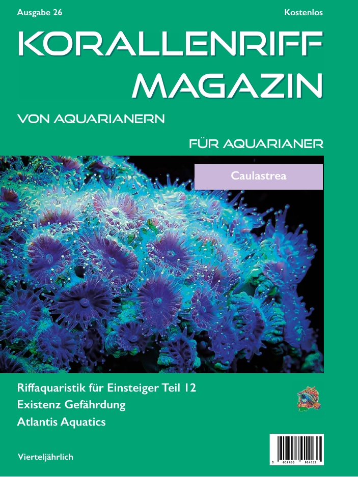 Ausgabe 17