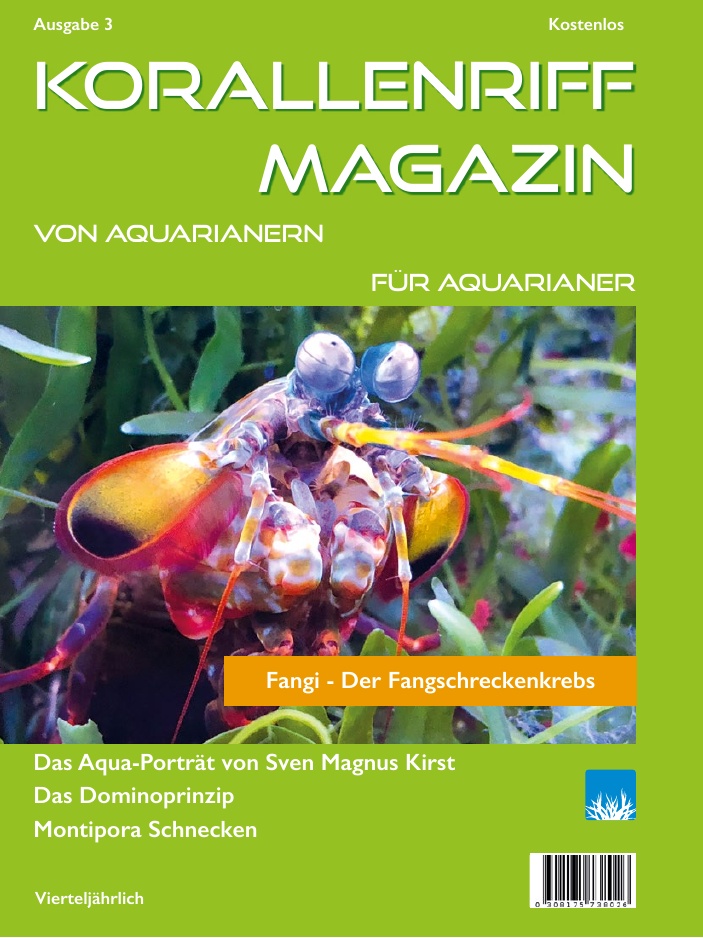 Ausgabe 3