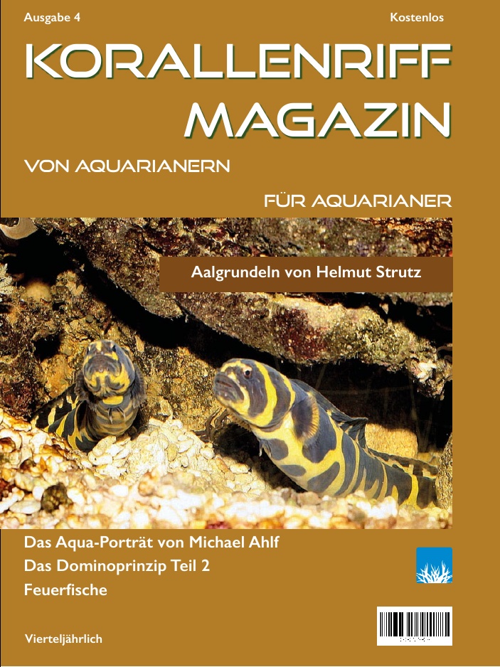 Ausgabe 4