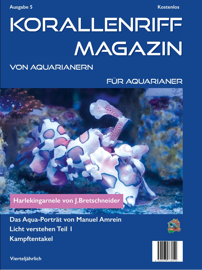 Ausgabe 5