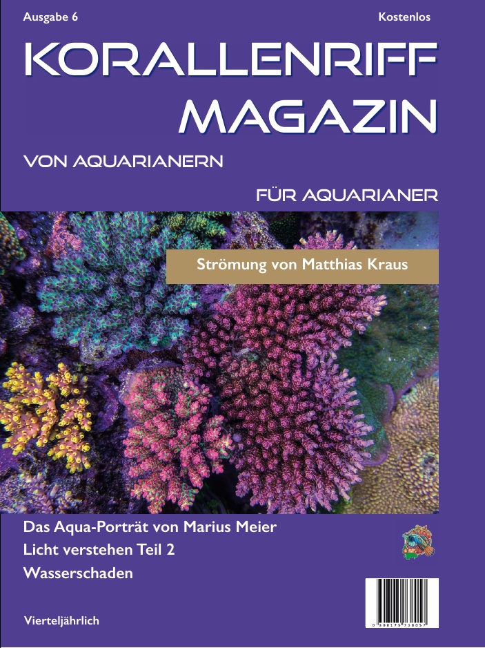 Ausgabe 6