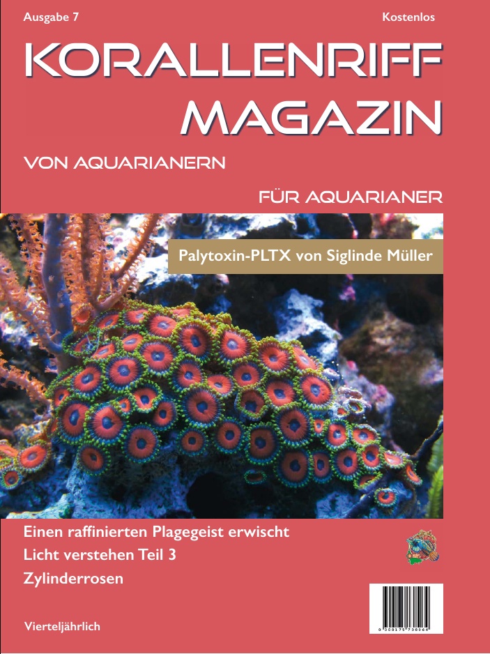 Ausgabe 7