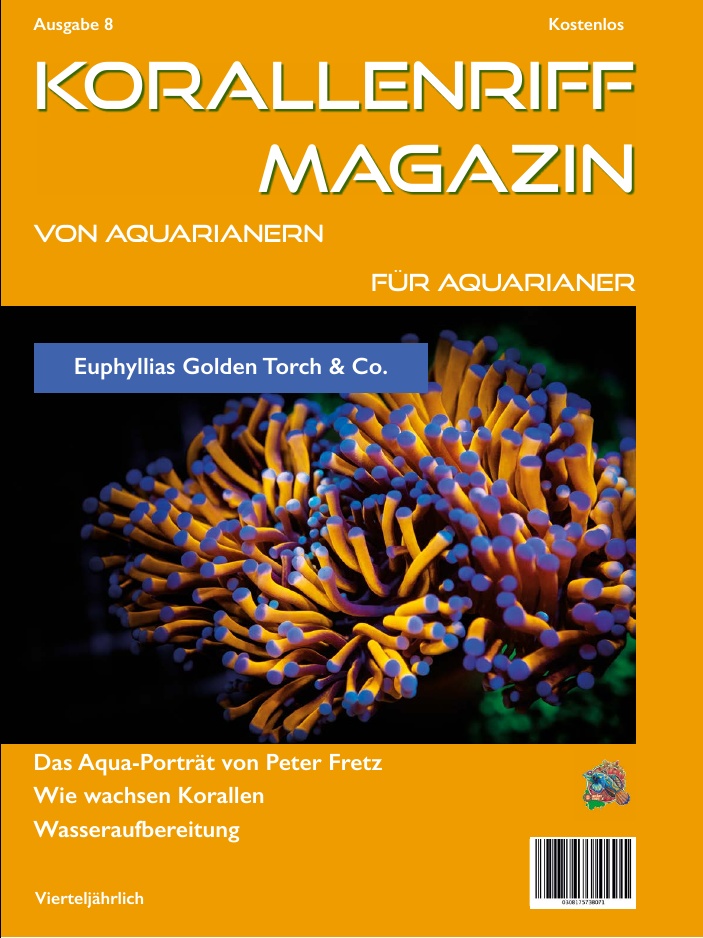 Ausgabe 8