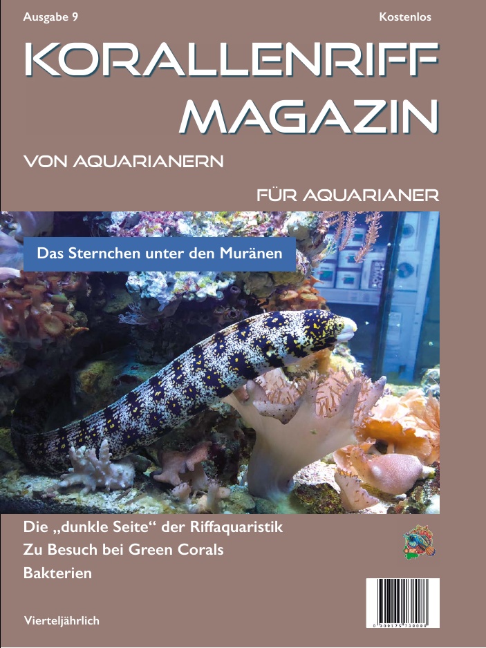 Ausgabe 9