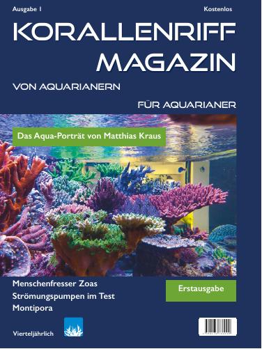 Vorschaubild Ausgabe 1