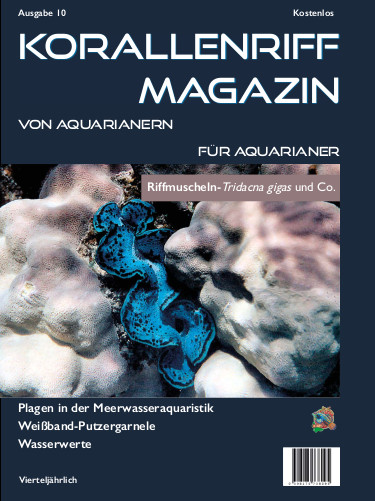 Vorschaubild Ausgabe 10