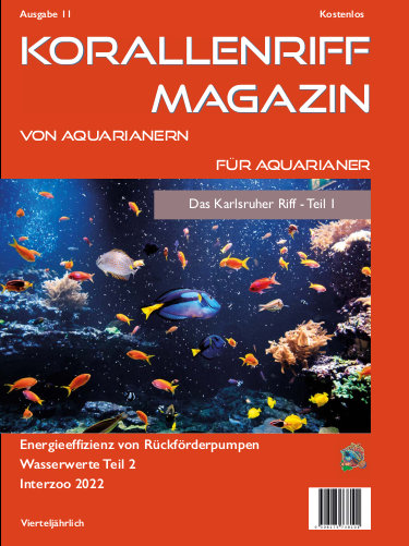 Vorschaubild Ausgabe 11