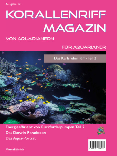 Vorschaubild Ausgabe 12