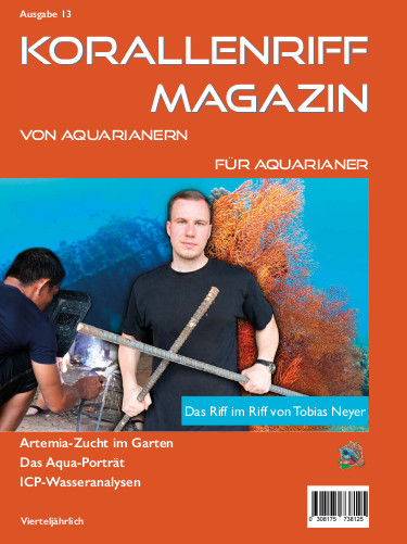 Vorschaubild Ausgabe 13