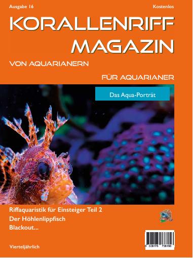 Vorschaubild Ausgabe 16