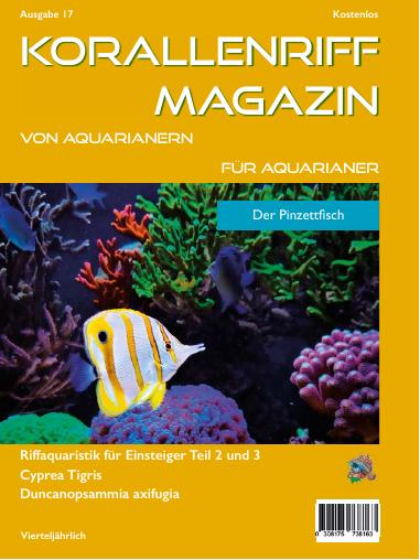 Vorschaubild Ausgabe 17