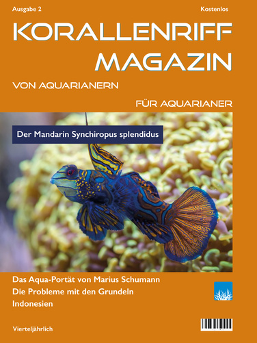 Vorschaubild Ausgabe 2