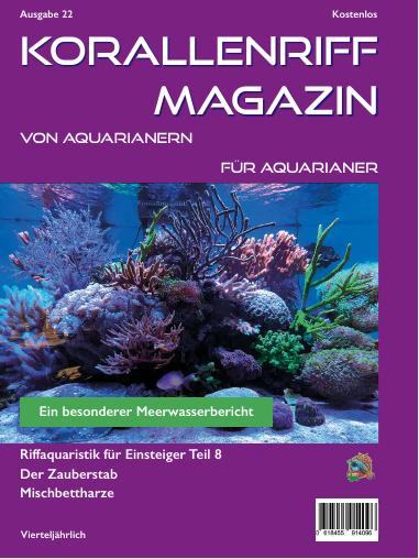 Vorschaubild Ausgabe 22