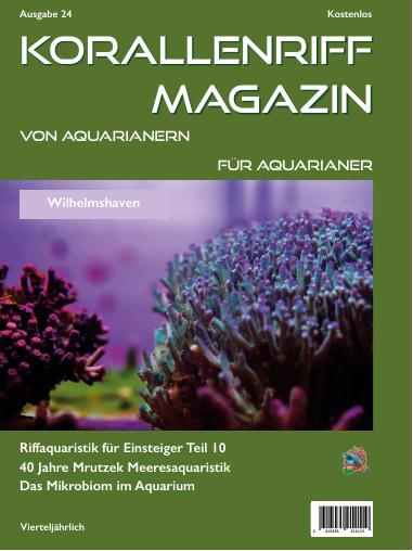Vorschaubild Ausgabe 24