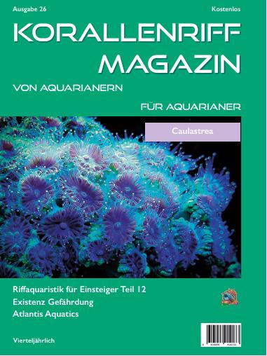 Vorschaubild Ausgabe 26