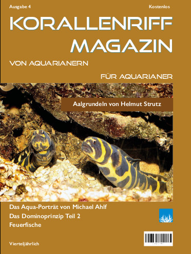 Vorschaubild Ausgabe 4