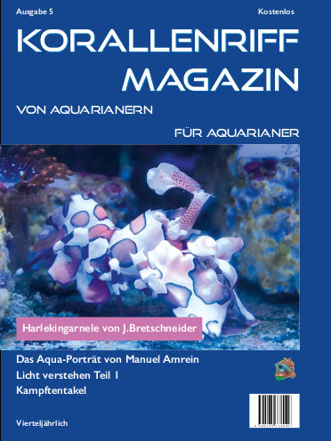 Vorschaubild Ausgabe 5