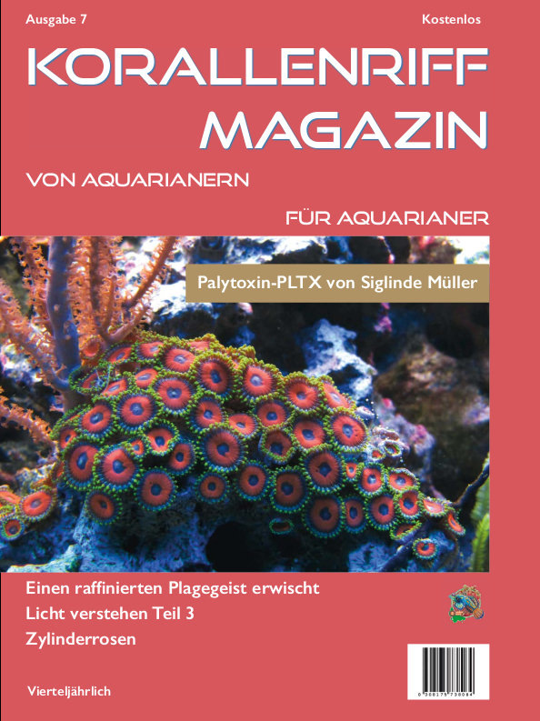 Vorschaubild Ausgabe 7