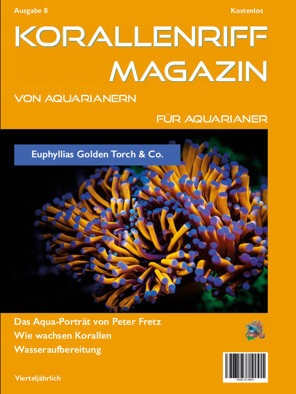 Vorschaubild Ausgabe 8