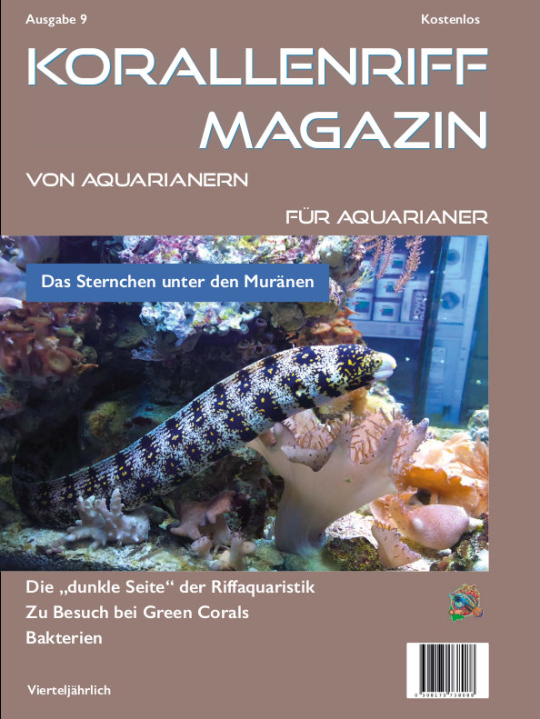 Vorschaubild Ausgabe 9